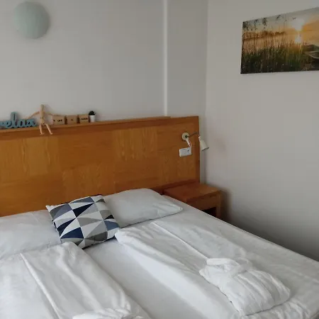 Apartment C311